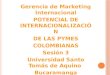 Gerencia de Marketing Internacional POTENCIAL DE INTERNACIONALIZACIÓN DE LAS PYMES COLOMBIANAS Sesión 3 Universidad Santo Tomás de Aquino Bucaramanga