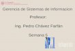 Profesor: Ing. Pedro Chávez Farfán Semana 5 Gerencia de Sistemas de Informacion