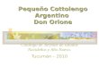 Pequeño Cottolengo Argentino Don Orione Catálogo de Tarjetas de saludos Navideños y Año Nuevo. Tucumán – 2010