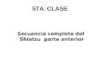5TA. CLASE Secuencia completa del Shiatzu parte anterior