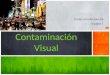 Protección Ambiental Equipo 5 Contaminación Visual