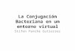 La Conjugación Bacteriana en un entorno virtual Stifen Panche Gutierrez