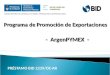 Programa de Promoción de Exportaciones PRÉSTAMO BID 2239/OC-AR - ArgenPYMEX -