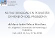 NEFROTOXICIDAD EN PEDIATRÍA: DIMENSIÓN DEL PROBLEMA Adriana Isabel Meza Martínez IV Congreso Colombiano de Nefrología Pediátrica Cali, Abril 15, 16 y 17