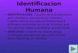 Identificacion Humana IDENTIFICACION: Conjunto de procedimientos para establecer caracteristicas naturales ( dactilscopia,quiroscopia,pelmatoscopia) y