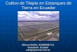 Cultivo de Tilapia en Estanques de Tierra en Ecuador Alfonso Delfini, AQUAMAR S.A. Guayaquil, Ecuador ade@aquamar.com.ec