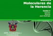 Bases Moleculares de la Herencia ADN, Cromatina y Cromosoma Equipo 4 Antonio Álvarez José Madrigal