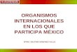1 ORGANISMOS INTERNACIONALES EN LOS QUE PARTICIPA MÉXICO MTRA. DELFINA SÁNCHEZ VALLE