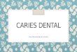 CARIES DENTAL Itzel Marcela Barrón Urrutia. Introducción ◦ La caries dental es un trastorno común, que le sigue en frecuencia al resfriado común. Suele