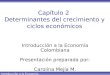 Introducción a la Economía Colombiana Capítulo 2 Determinantes del crecimiento y ciclos económicos Introducción a la Economía Colombiana Presentación preparada