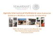 Agenda Internacional Multilateral sobre Sustancias Químicas y Residuos: Convenio de Estocolmo Taller de inicio para la actualización del Plan Nacional
