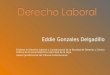 Eddie Gonzales Delgadillo › Profesor en Derecho Laboral y Constitucional de la Facultad de Derecho y Ciencia Polìtica de la Universidad Inca Garcilaso