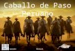 Caballo de Paso Peruano Sonido Manual El caballo peruano de paso es una raza equina oriunda del Perú, descendiente de los caballos introducidos durante