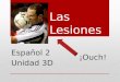 Las Lesiones Español 2 Unidad 3D ¡Ouch!. ¡LOS ANIMALES TAMBIEN ESTORNUDAN! Perros Estornudando El Oso! Lucas Achu!