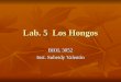 Lab. 5 Los Hongos BIOL 3052 Inst. Suheidy Valentín