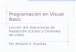 Programación en Visual Basic Lección #4: Estructuras de Repetición (Ciclos) y Controles de Listas Por Antonio F. Huertas