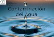 Contaminación del Agua Nombre: Javiera Torres Claudia Torres Curso: 1MB Profesor: Eduardo Troncoso Asignatura: Artes Colegio Teresiano Los Ángeles