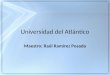 Universidad del Atlántico Maestro: Raúl Ramírez Posada