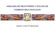 ANÁLISIS DE REACTORES Y CICLOS DE COMBUSTIBLE NUCLEAR Juan Luis François