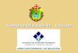 Gobierno del Estado de Veracruz DIRECCION GENERAL DE INDUSTRIA