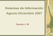 Sistemas de Información Agosto-Diciembre 2007 Sesión # 10