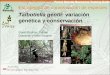 Estrategias de conservación de especies Talbotiella gentii: variación genética y conservación David Boshier, Daniel Dompreh y Mike Swaine