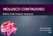 Nallely Anahí Holguín Velázquez MOLUSCO CONTAGIOSO Dermatología 7mo. Semestre Z02