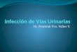 Dr. Nephtali Fco. Valles V.. INFECCION URINARIA Su duración media es superior a los 7 días y supone mas del 10% de las bajas La presencia de catéteres