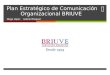 Plan Estratégico de Comunicación Organizacional BRIUVE Diego LópezGabriel Pasquel