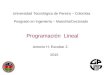 Programación Lineal Antonio H. Escobar Z. 2015 Universidad Tecnológica de Pereira – Colombia Posgrado en Ingeniería – Maestría/Doctorado