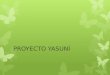 PROYECTO YASUNÍ. UBICACIÓN DEL YASUNÍ Que es proyecto yasuní  La iniciativa Yasuní-ITT (Ishipingo-Tambococha-Tiputini) es un ambicioso proyecto ambiental
