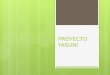 PROYECTO YASUNÍ QUE ES PROYECTO YASUNÍ  La iniciativa Yasuní-ITT (Ishipingo- Tambococha-Tiputini) es un ambicioso proyecto ambiental ecuatoriano que