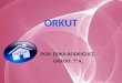 POR: ERIKA RODRIGUEZ. GRADO: 7ºA.. Introducción.¿Qué es Orkut?.¿Quién creo Orkut?.Ventana de Orkut.Servicios que ofrece Orkut.Para que sirve Orkut.Ventajas