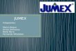 JUMEX Integrantes: Marco Roque Victor Ontiveros René Parra Fernando VIllalobos