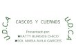 CASCOS Y CUERNOS Presentado por:  KATTY BURGOS CHICO  SOL MARIA AVILA GARCES