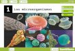 INICIOESQUEMARECURSOS Biología Los microorganismos SALIRANTERIOR 16 Los microorganismos NOTICIA INICIAL ESQUEMA RECURSOS