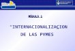 Secretaría de Comercio y Relaciones Económicas Internacionales “INTERNACIONALIZACION DE LAS PYMES” MÓDULO 1