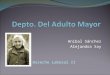 Anibal Sánchez Alejandra Say Derecho Laboral II. Visión Dirigir los programas de beneficio social dirigidos al adulto mayor a través de una administración