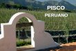 PISCO PERUANO PISCO PERUANO Desde el siglo XVI en los valles de la costa peruana Desde el siglo XVI en los valles de la costa peruana se elabora el pisco