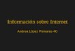 Información sobre Internet Andrea López Pomares 4C
