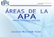 PORTADA. INSTRUCCIONES Actividad Investigar 3 áreas de la psicología propuestas por la APA, describiendo en qué se especializan y sus campos de acción