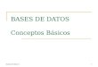 Bases de datos I1 BASES DE DATOS Conceptos Básicos