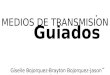 MEDIOS DE TRANSMISION Giselle Bojorquez-Brayton Bojorquez-Jason Acuna
