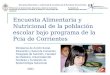Encuesta Alimentaria y Nutricional de la población escolar bajo programa de la Pcia de Corrientes Encuesta alimentaria y nutricional de escolares de la