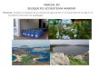 Destreza: Analizar el impacto de la escasez de agua dulce en el desarrollo de la vida en el ecosistema terrestre de Galápagos PARCIAL #3 BLOQUE #3: ECOSISTEMA