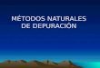 MÉTODOS NATURALES DE DEPURACIÓN MÉTODOS NATURALES DE DEPURACIÓN