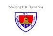 Scouting C.D. Numancia. Principales características de su modelo de juego Fase ofensiva: Su primer principio ofensivo es ubicar balones profundos sobre