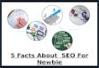 5 Facts About SEO For Newbie