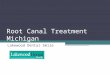 Root canal treatment michigan