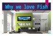 Why we love fish